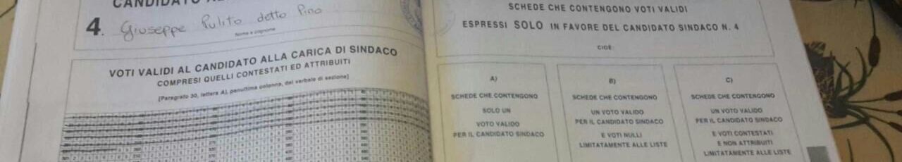 Elezioni fake Elezioni fake