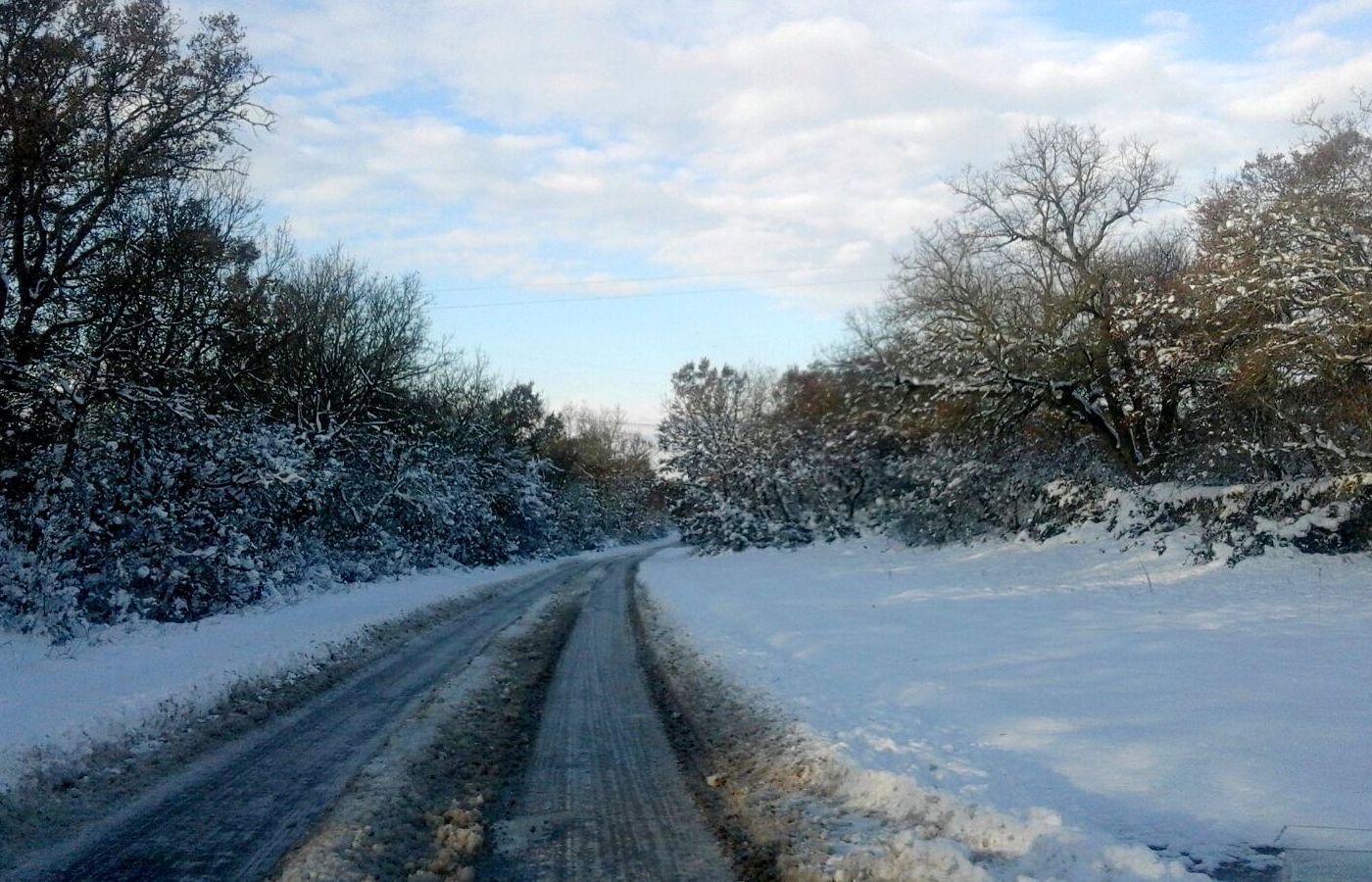 Neve: domani si torna a scuola Neve: domani si torna a scuola