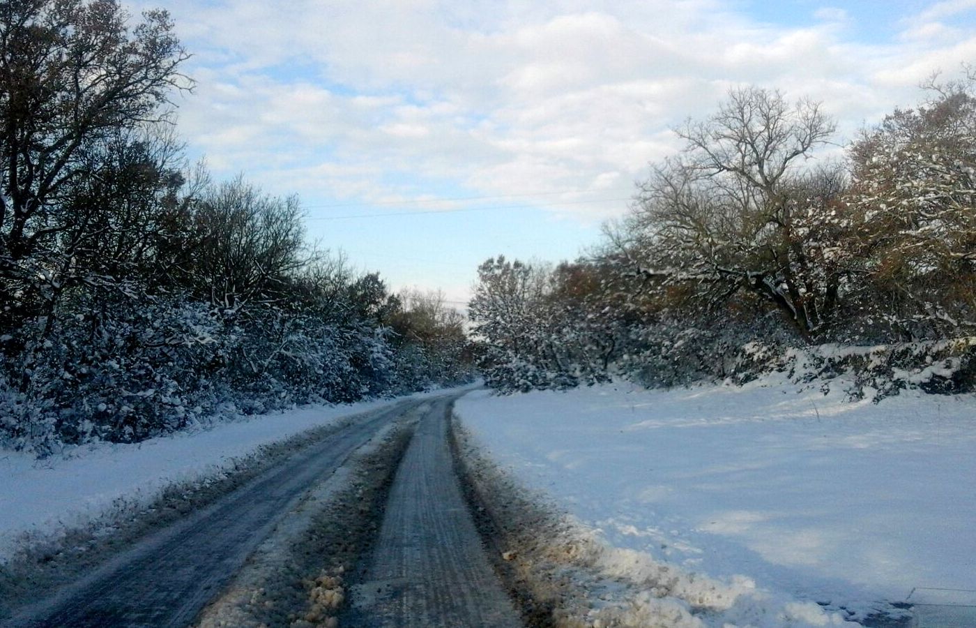 Neve: domani si torna a scuola