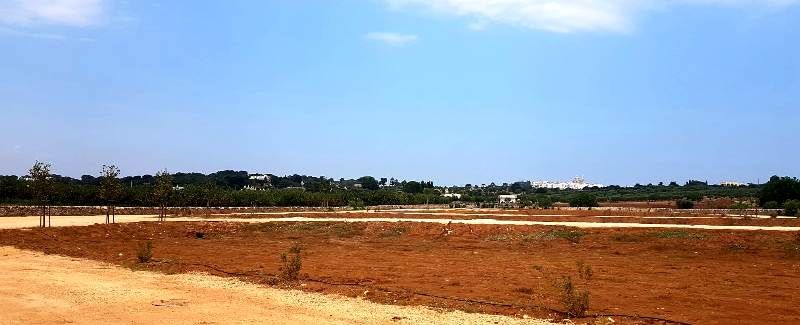 Le trincee drenanti funzionano: ripresi gli allacci alla rete fognaria Le trincee drenanti funzionano: ripresi gli allacci alla rete fognaria
