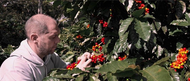 Il buon caffè del signor Morola Il buon caffè del signor Morola