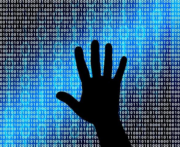 Giuseppe Palestra  il nuovo informatico del Comune