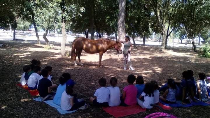 I cavalli rubati ai bambini in cura